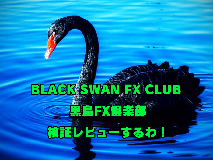 BLACK SWAN FX CLUB (黒鳥FX倶楽部)を購入！検証レビューするわ